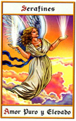 Tarot los arcanos